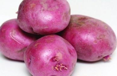 Fertility Considerations For Potatoes